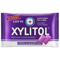 Жевательная резинка XYLITOL голубика и мята, 11.6 г