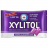 Жевательная резинка XYLITOL голубика и мята, 11.6 г